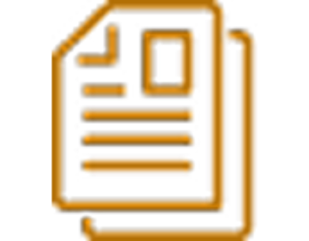 Icon of a document in orange.