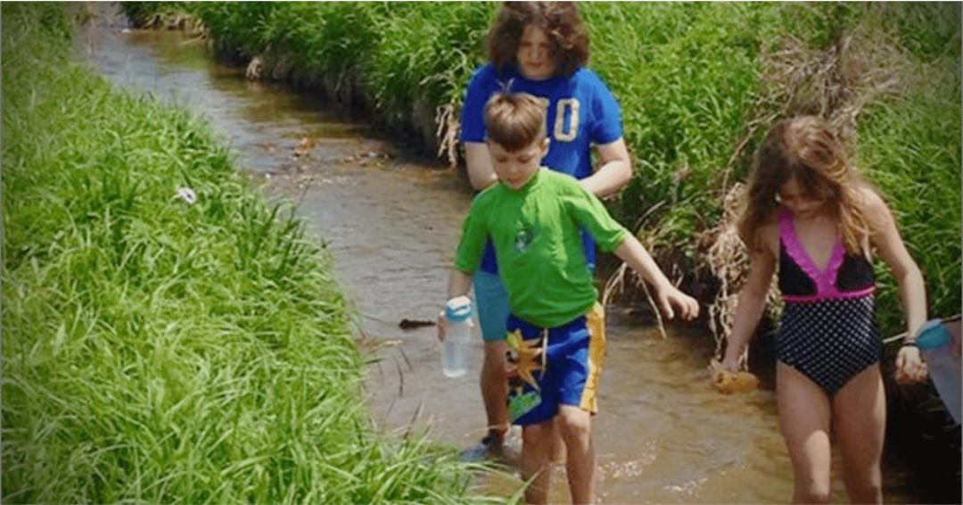 Three children walking through a shallow stream, surrounded by lush green grass.