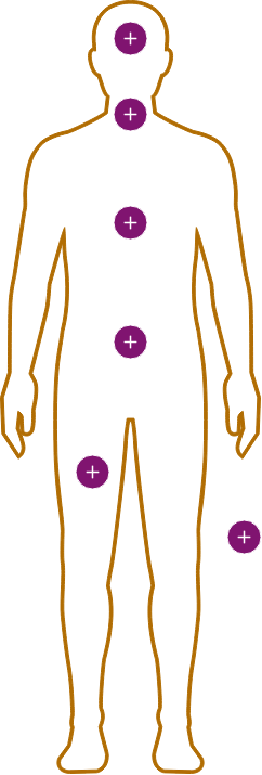 Interactive Self Checks Interactive self checks icon