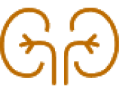 Icon of kidneys in orange.