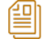 Icon of a document in orange.