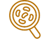 Icon of a magnifying glass with microbes inside it in orange.