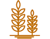 Icon of two plants with leaves in orange.