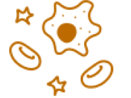 Icon of a cell with a nucleus, two ovals, and two star-shaped elements in orange.