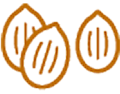 Icon of three nuts in orange.