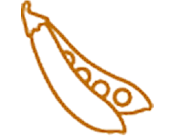 Icon of beans in a pod in orange.