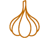 Icon of garlic in orange.