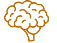 Icon of a brain in orange.