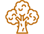 Icon of a broccoli floret in orange.